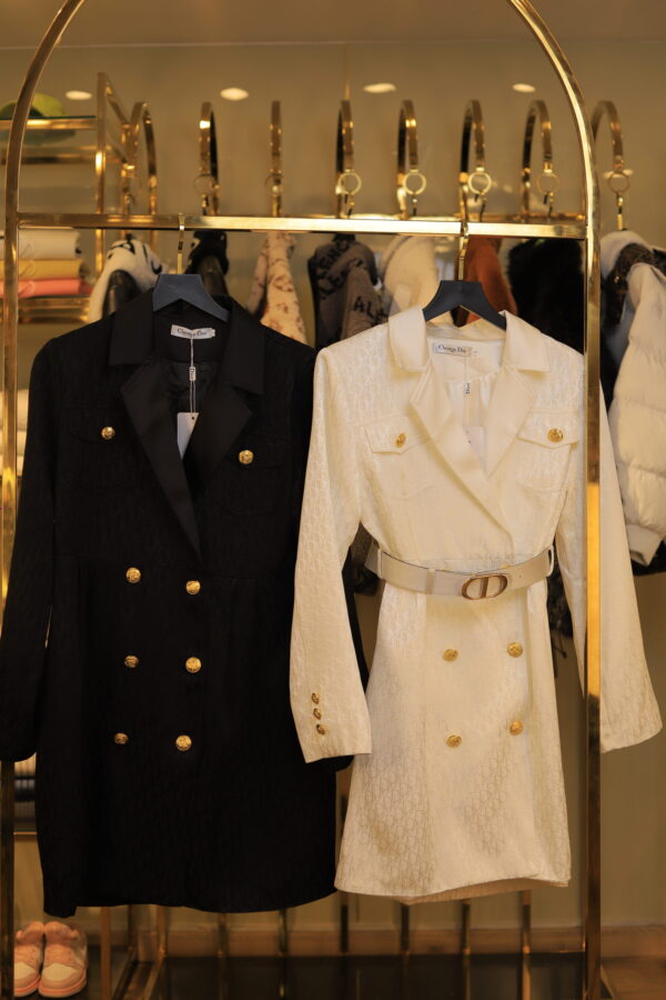 Dior Dress