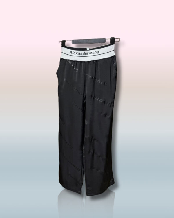 Alexander wang pants